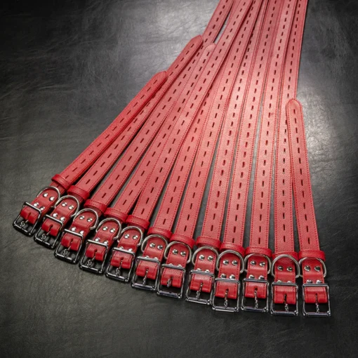 Premium Bondage Strap Set